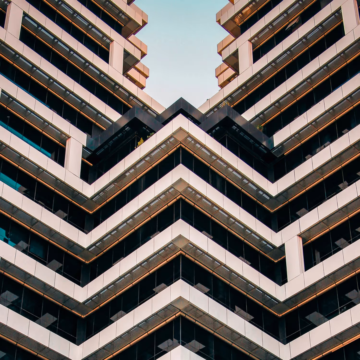 How a few PayPal’ers tackled CXD’s most impossible divide
