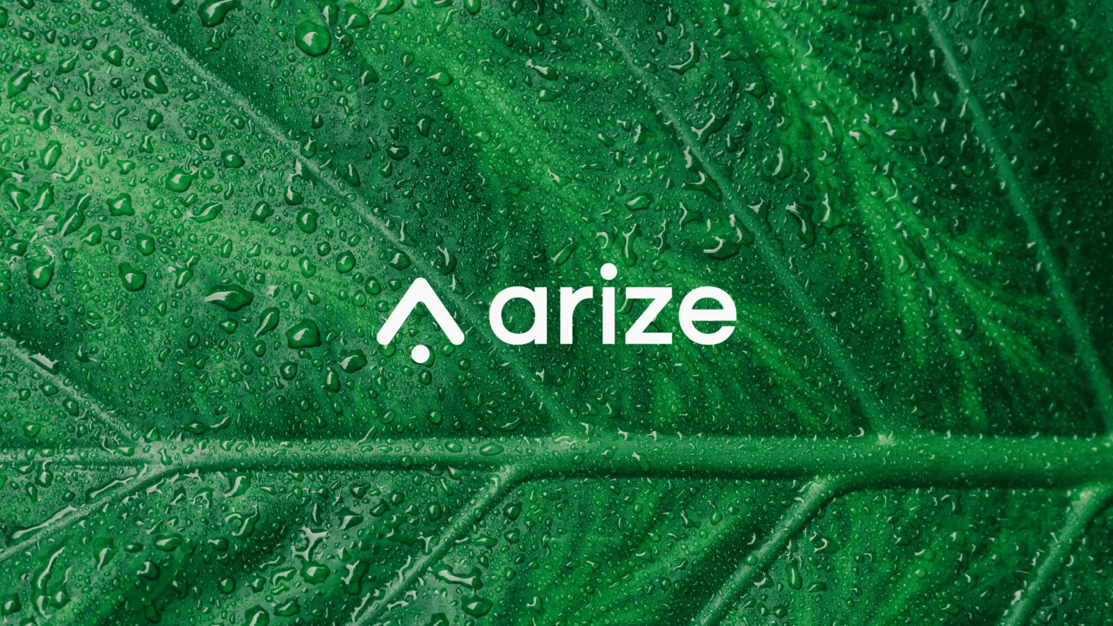 What is Arize AI? Is It the Best for Your AI Observability?