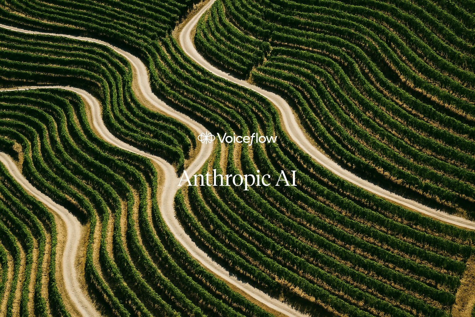 What Is Anthropic AI? Everything to Know in 2026