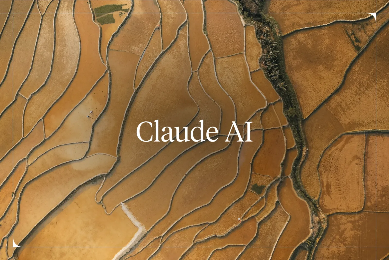 Claude AI: What It Is, the Models, and How to Use It (2026)