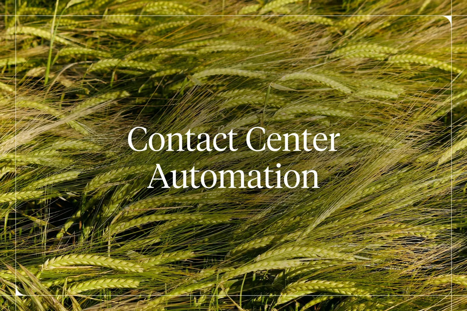 Contact Center Automation in 2026: What Actually Works