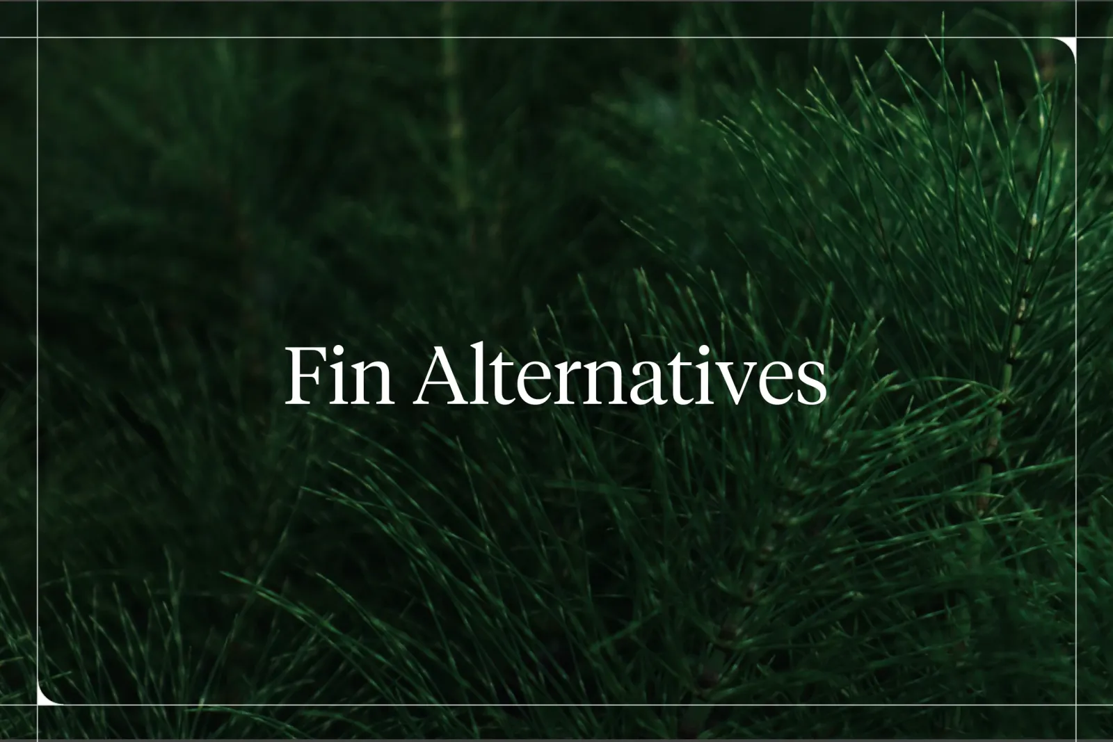 Best Fin Alternatives for 2026