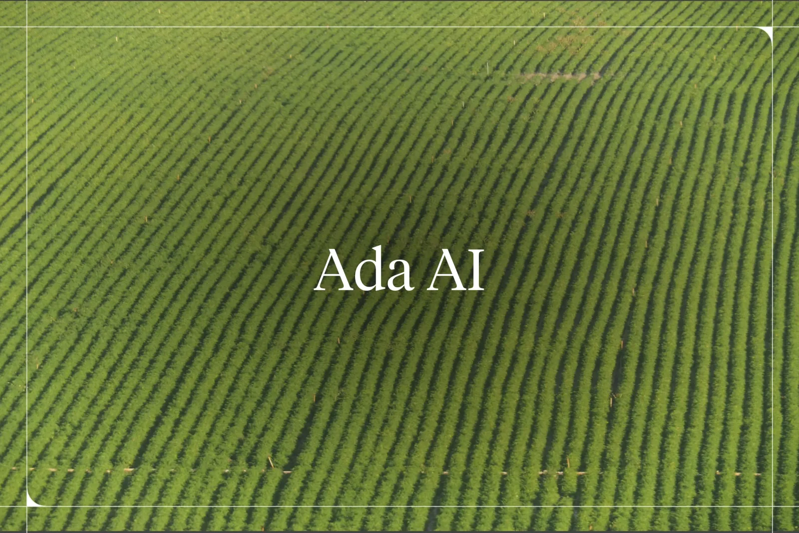 Ada AI Review 2026: Pricing and Best Alternatives