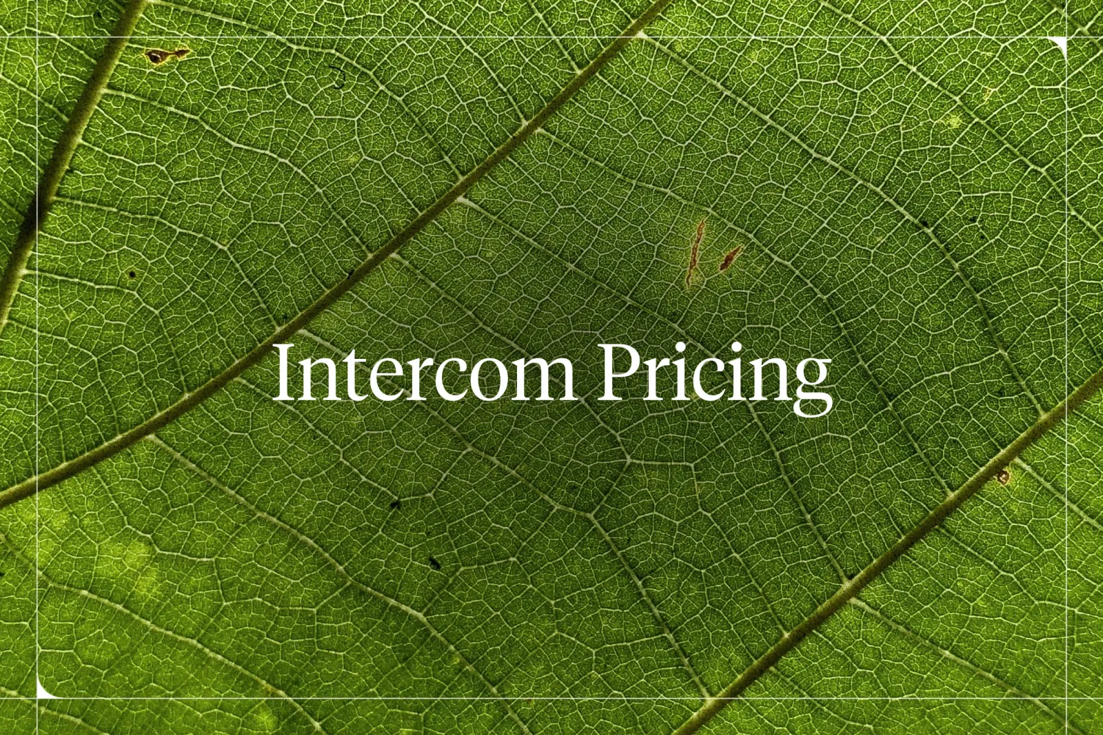 Intercom Pricing: The Ultimate Guide [2026]
