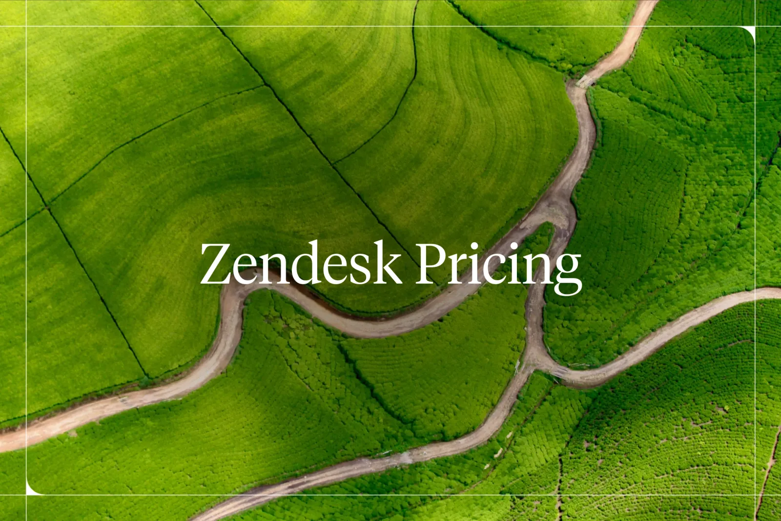 Zendesk Pricing 2026: What You'll Actually Pay
