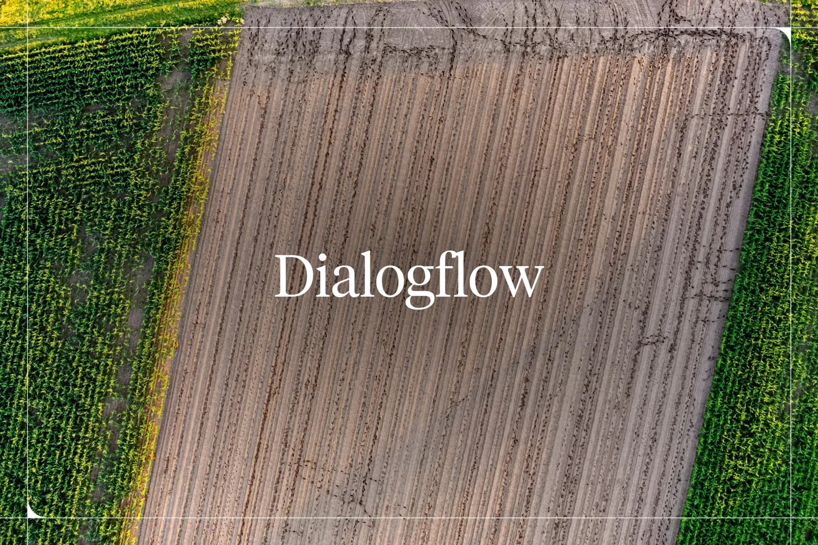 Dialogflow Review 2026: Features, Pricing, and the Best Alternatives