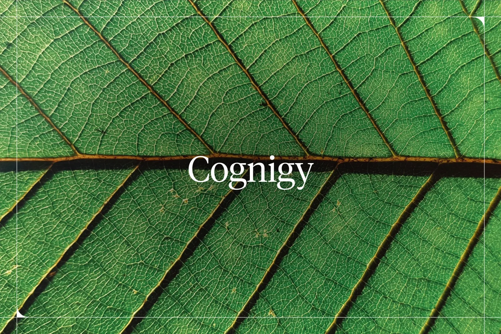 Cognigy AI: What It Is and Best Alternative [2026]