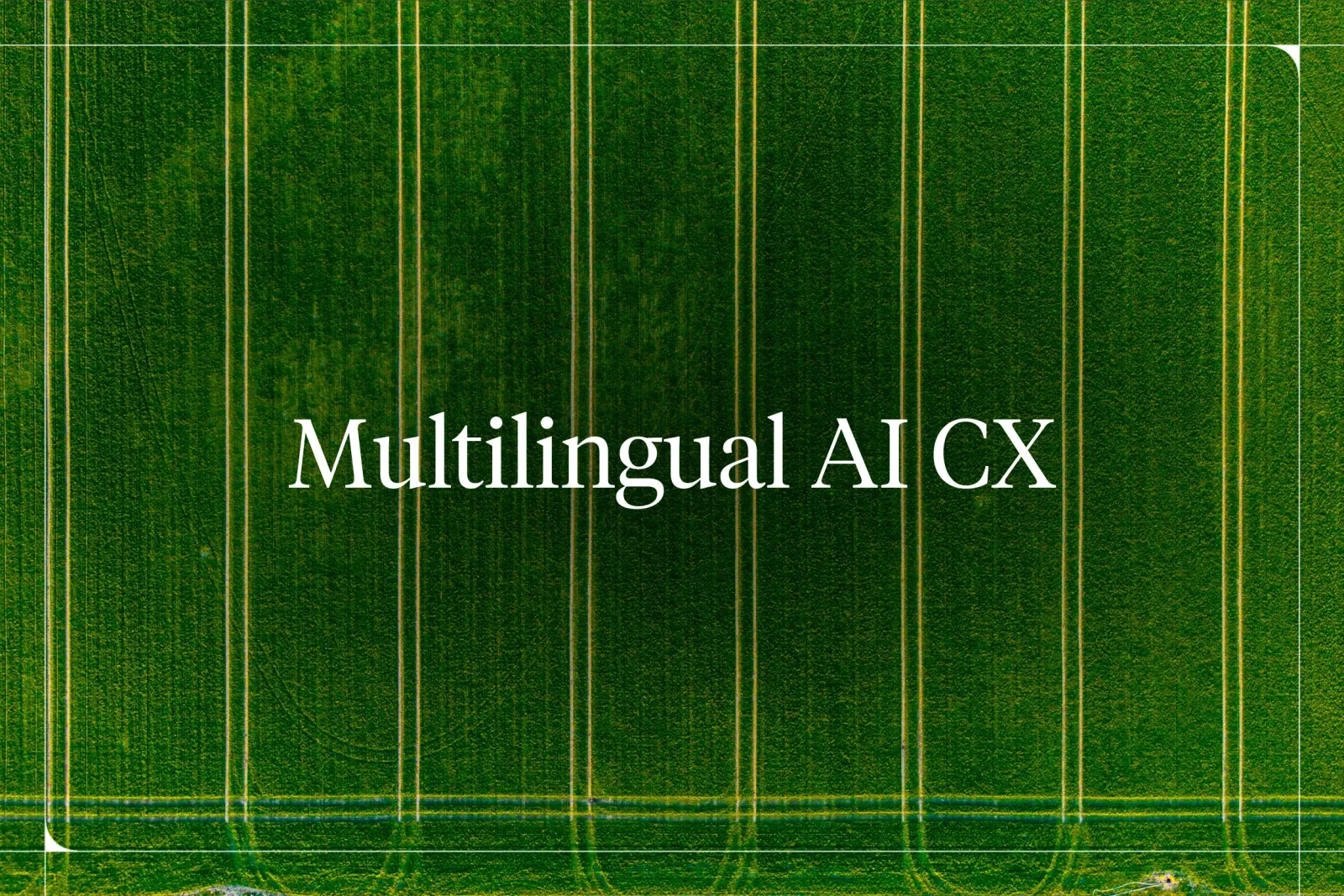Multilingual AI CX: How to Serve Global Customers at Scale
