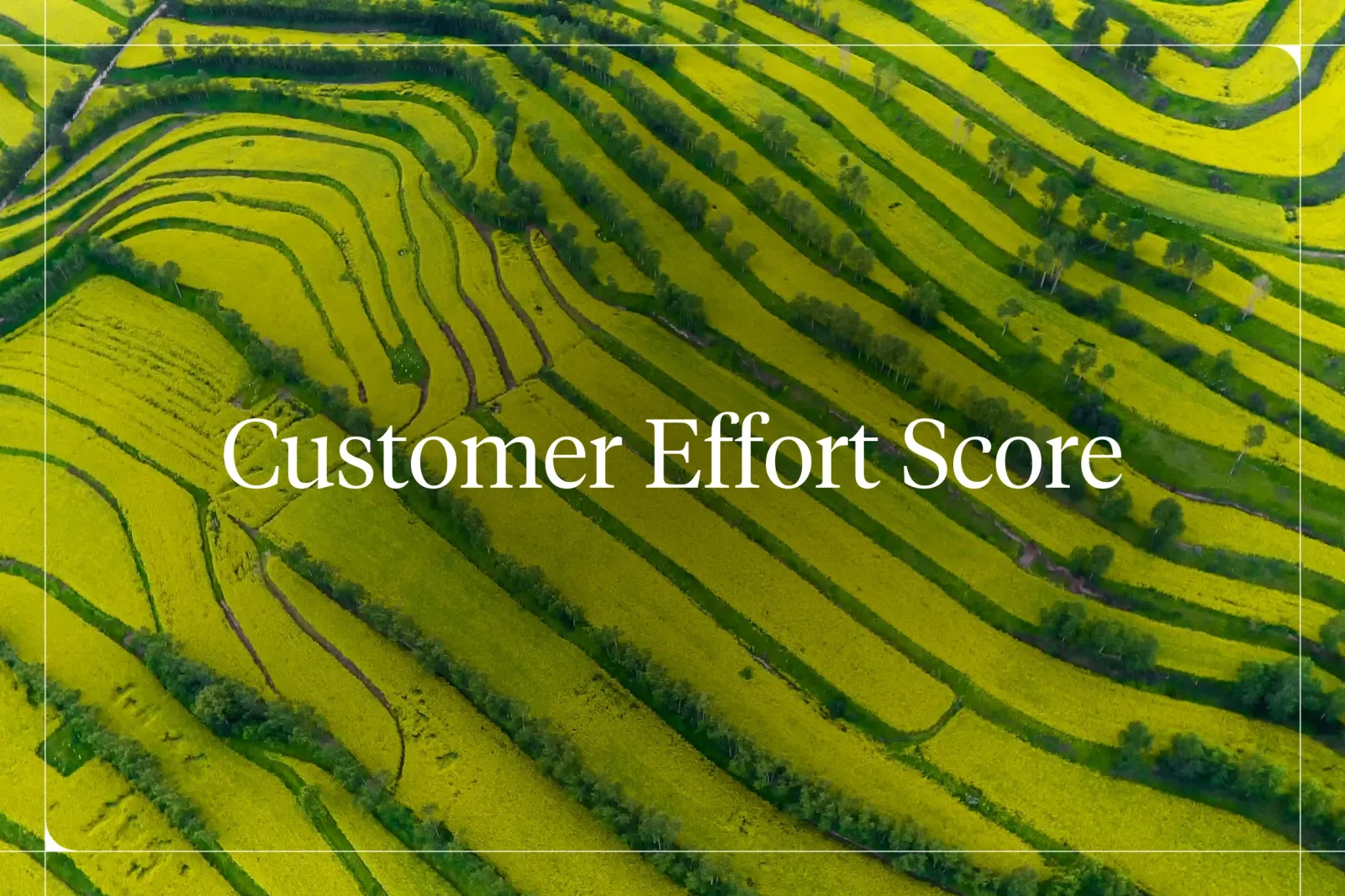 Customer Effort Score: How to Measure & Improve It [2026]