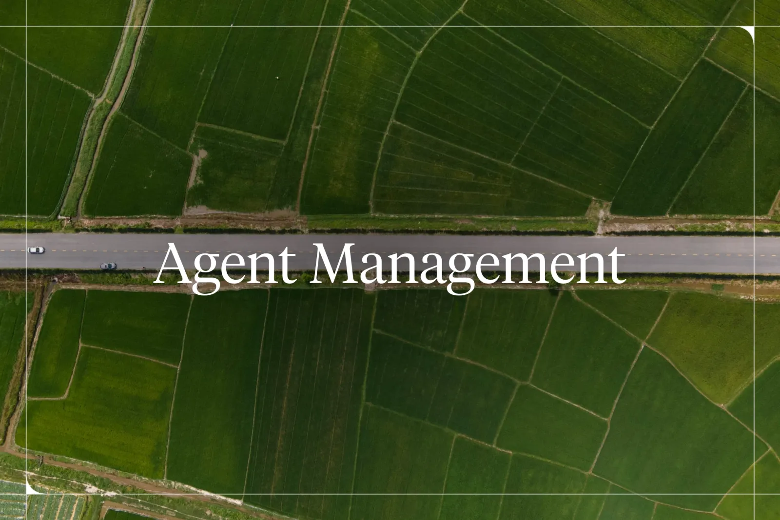 Best Agent Management Platforms (2026 Ranked)