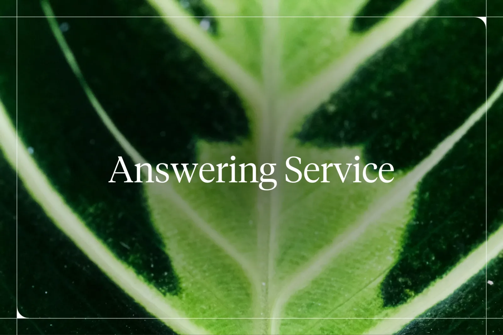 Best AI Answering Service for Small Business (2026)