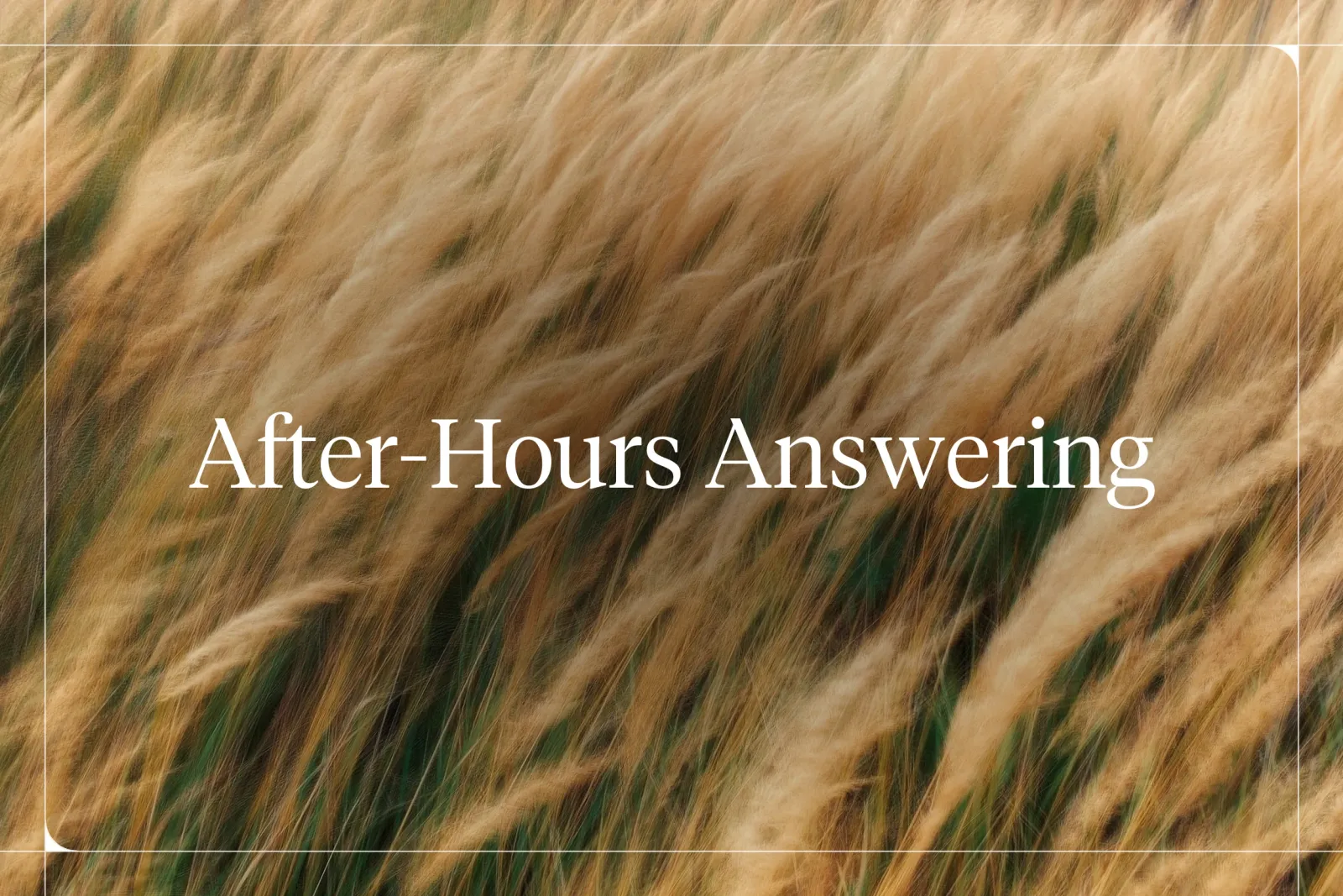 How to Set Up an Out-of-Hours Answering Service Using AI
