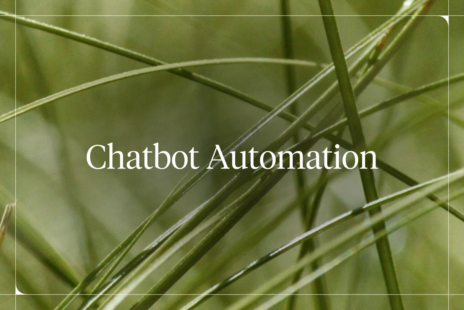 What Is Chatbot Automation? Benefits and Tools