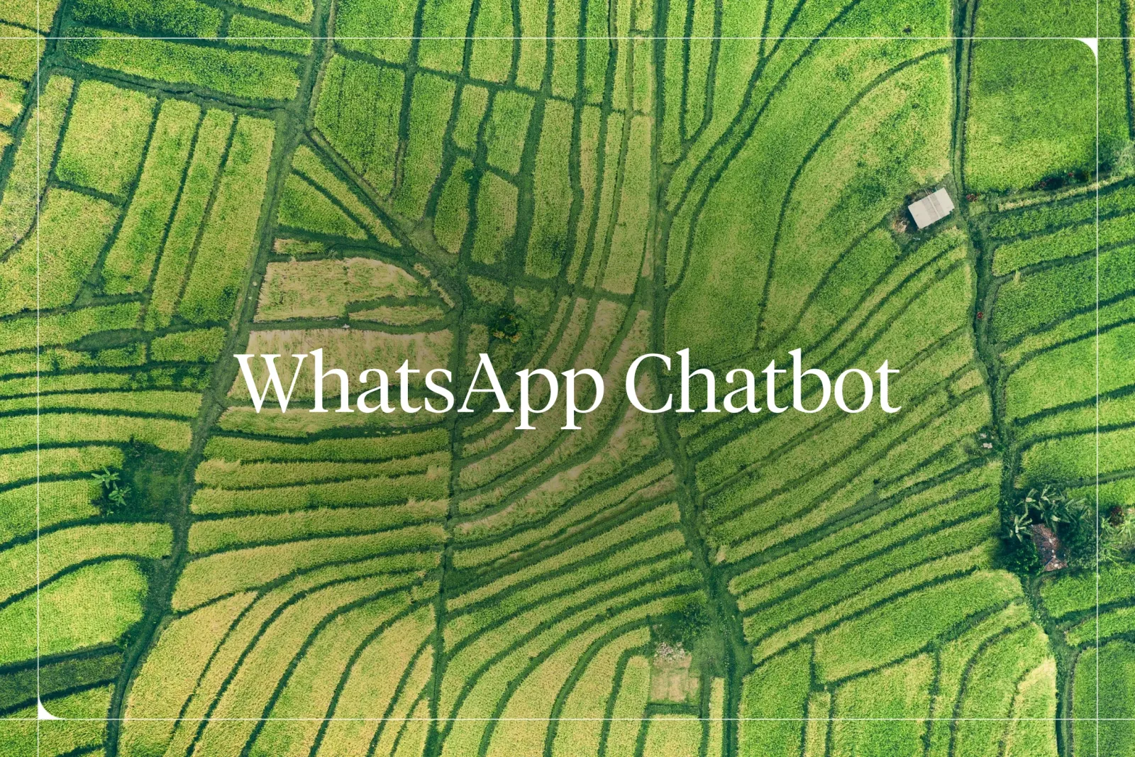 Create a WhatsApp Bot: The Complete Guide (2026)