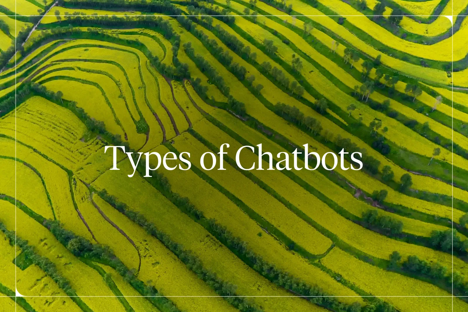 6 Types of Chatbots (and When to Use Each) in 2026