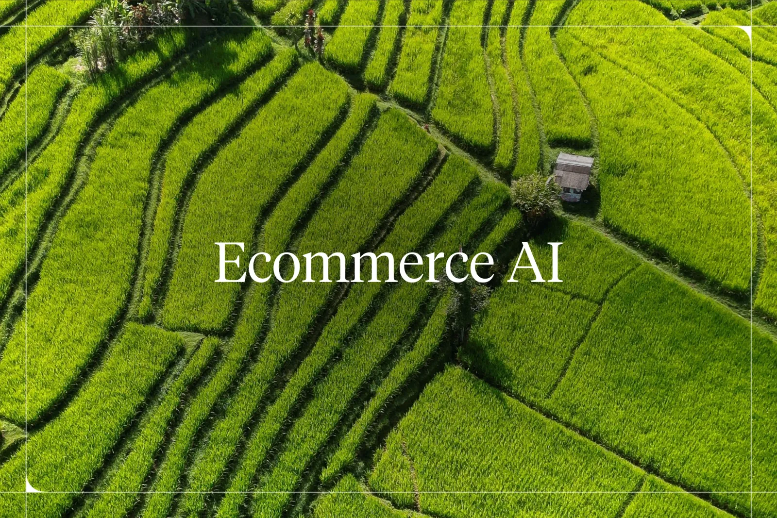 AI for Ecommerce: Sales, Automation & Personalization