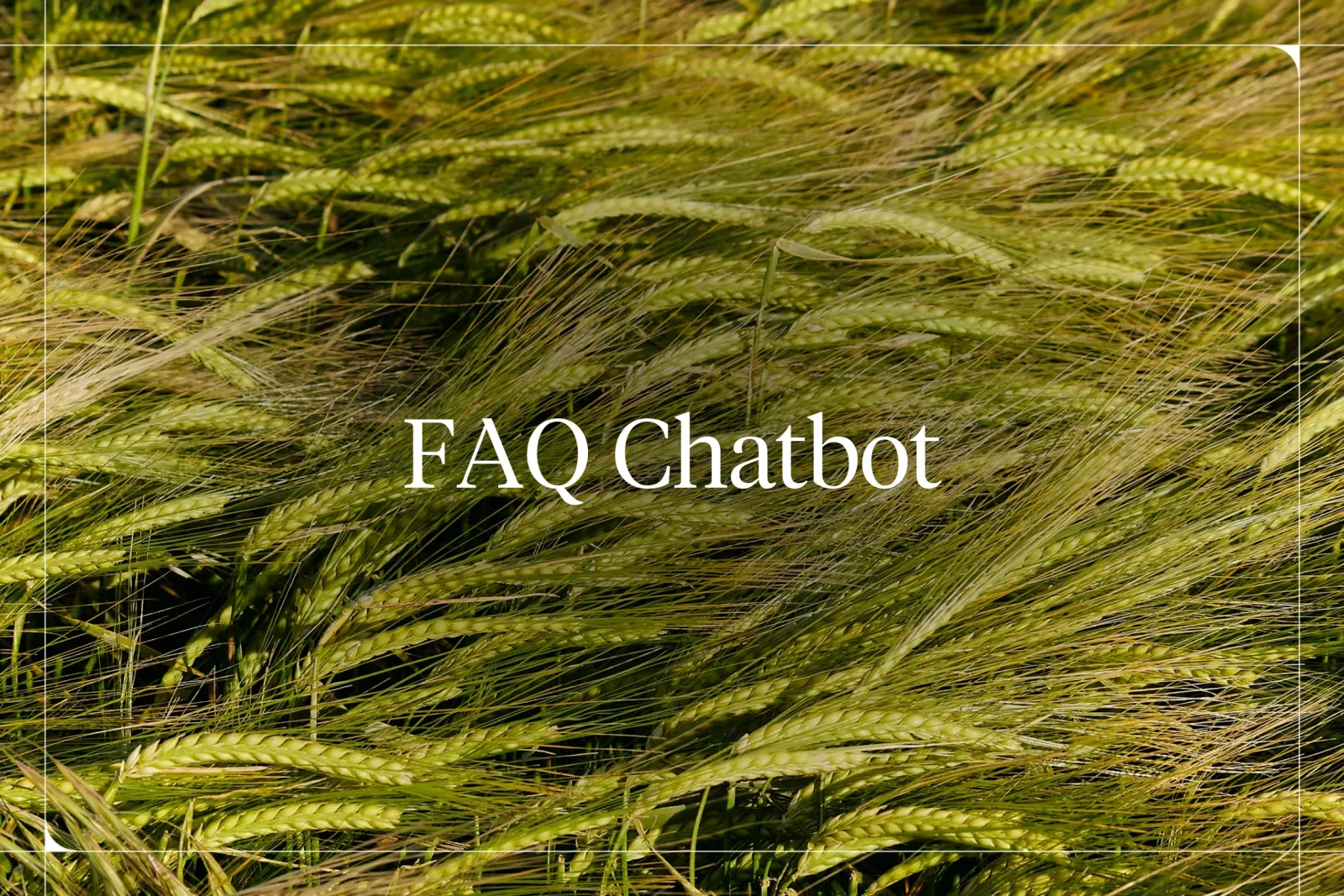 FAQ Chatbot 101: Benefits, How to Build & Top Use Cases