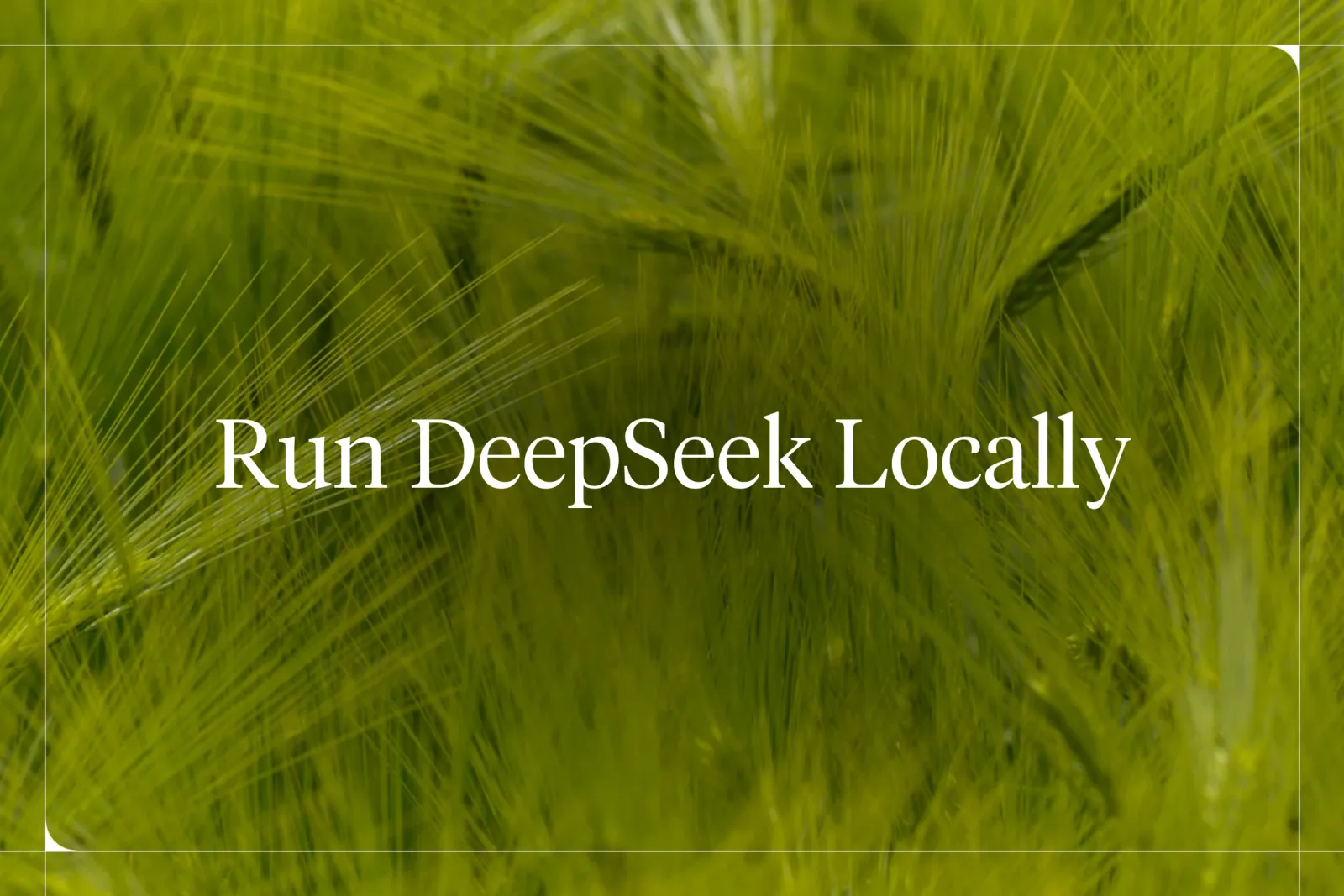 How to Run DeepSeek-R1 Locally with Ollama