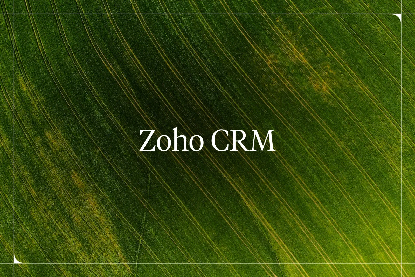 Zoho CRM: Pricing, API, Pros and Cons [2026]