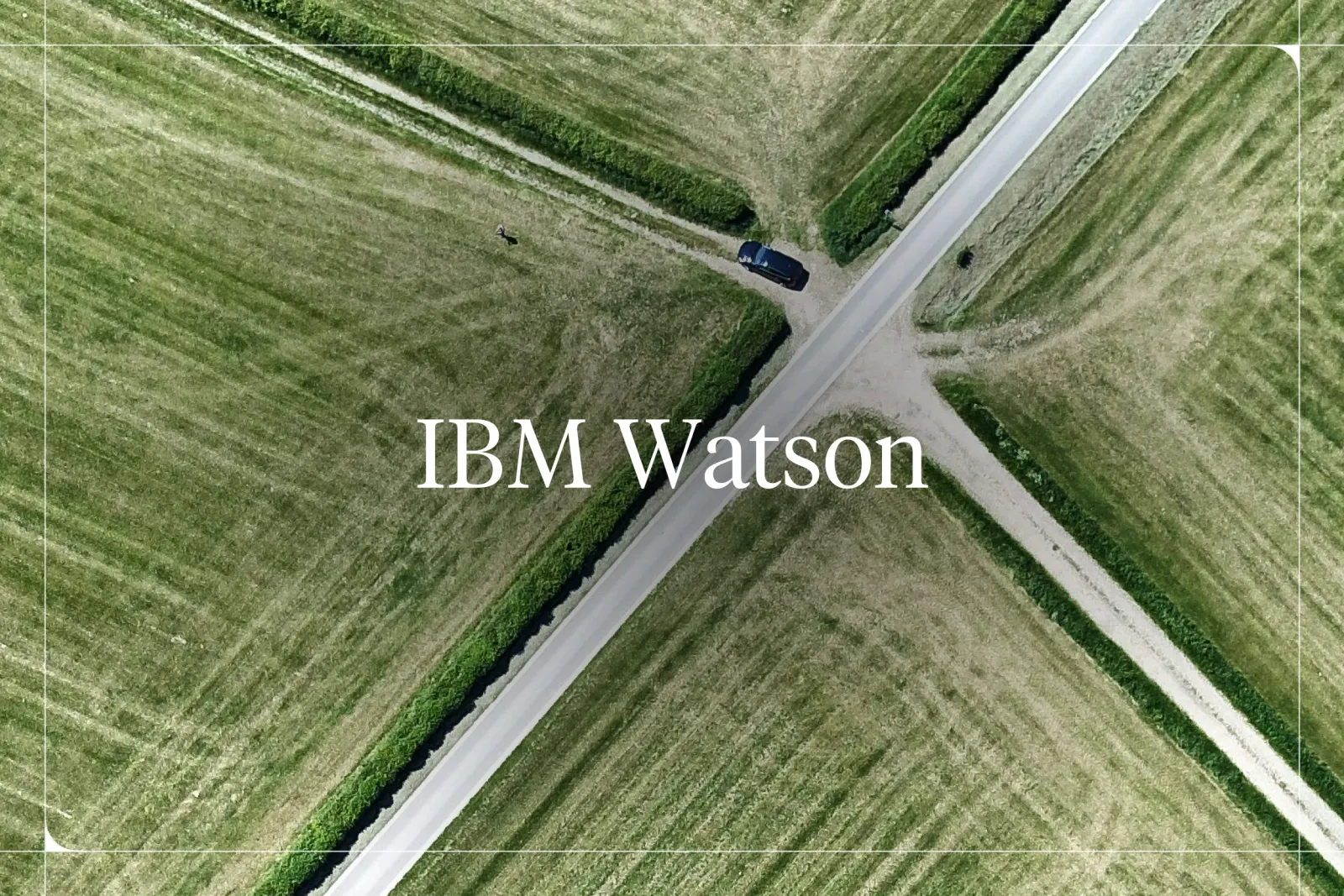Is IBM Watson the Right Choice for Your Business?