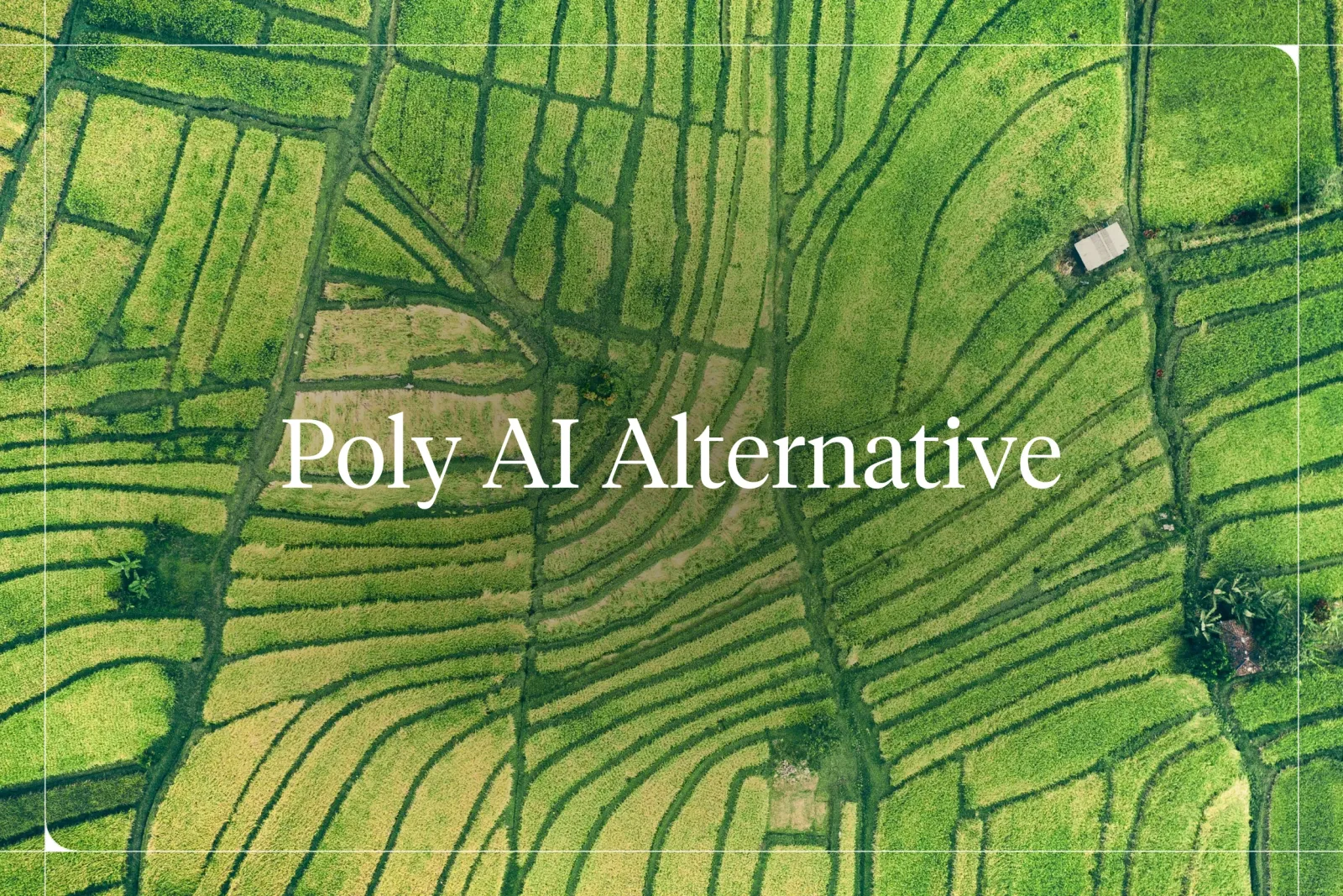 Poly AI: What It Is and Best Alternative [2026]