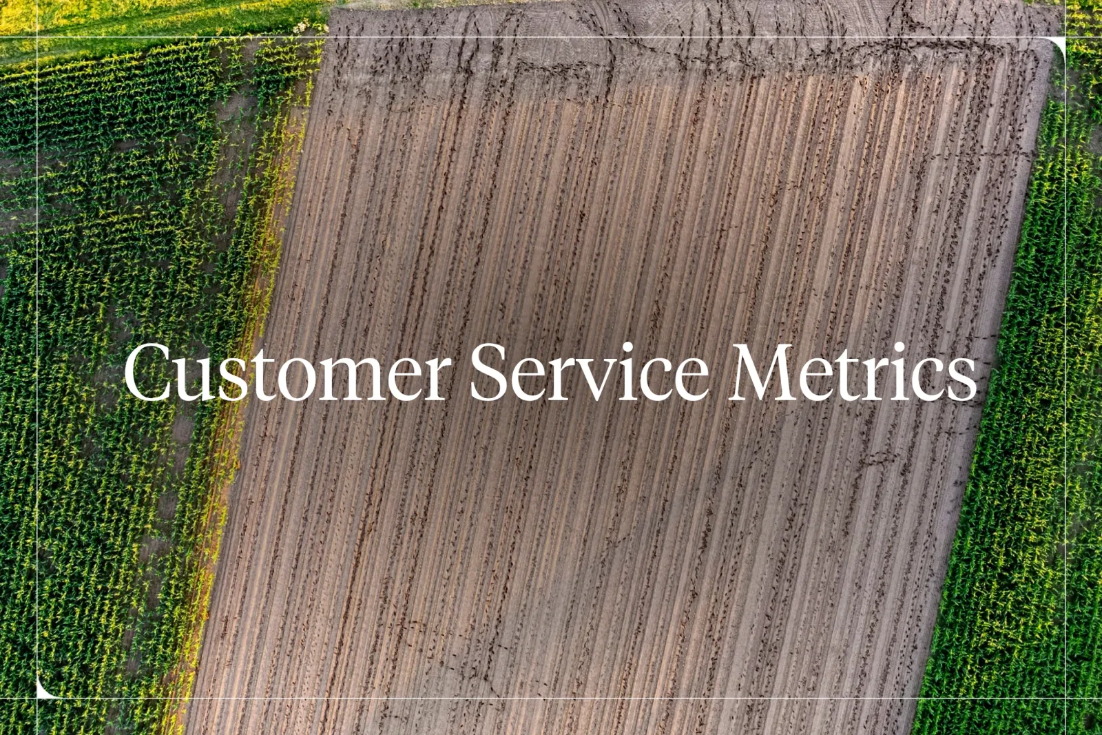 Customer Service Metrics & KPIs: What to Track in 2026