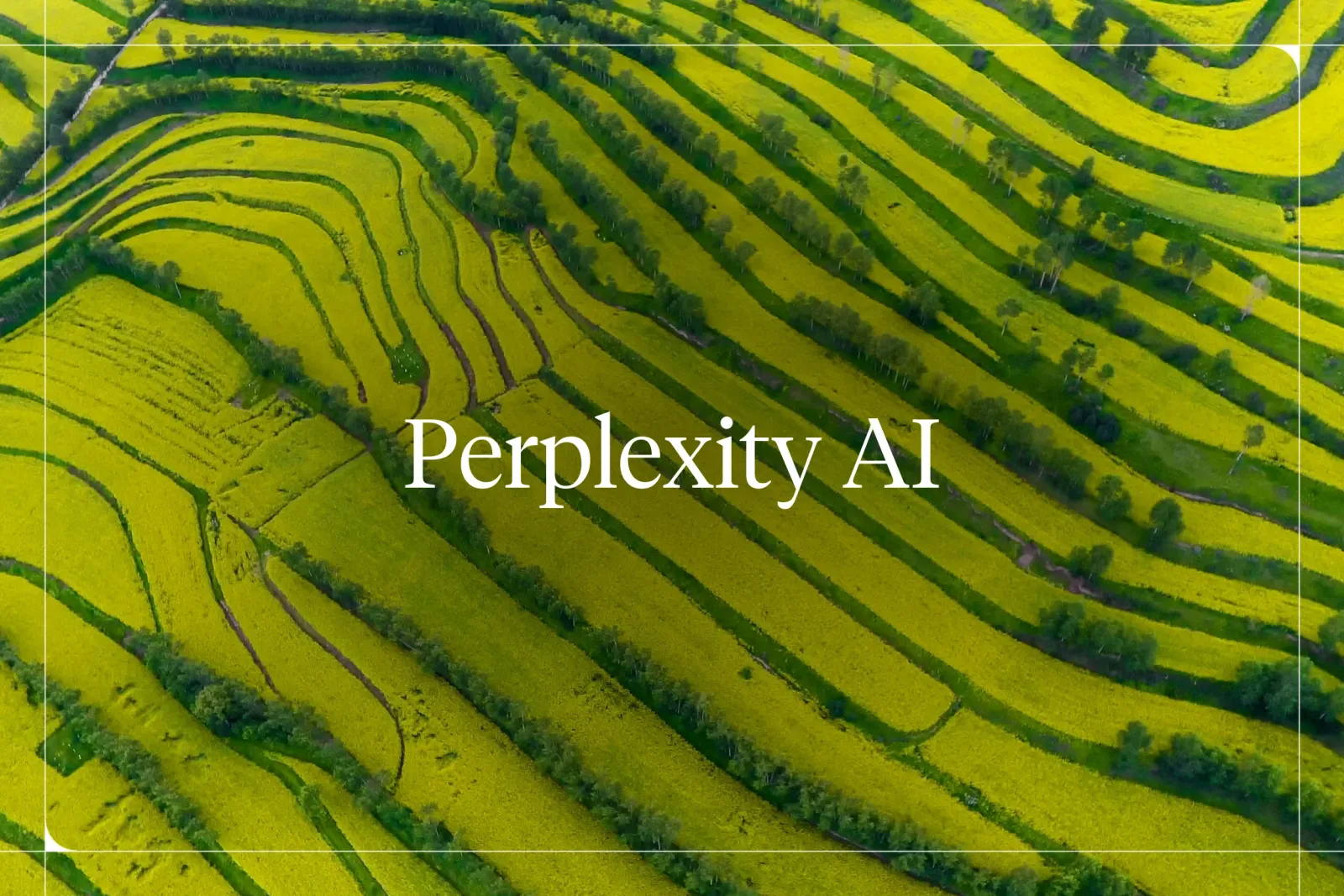 What Is Perplexity AI? Features, Pricing, and How It Works (2026)