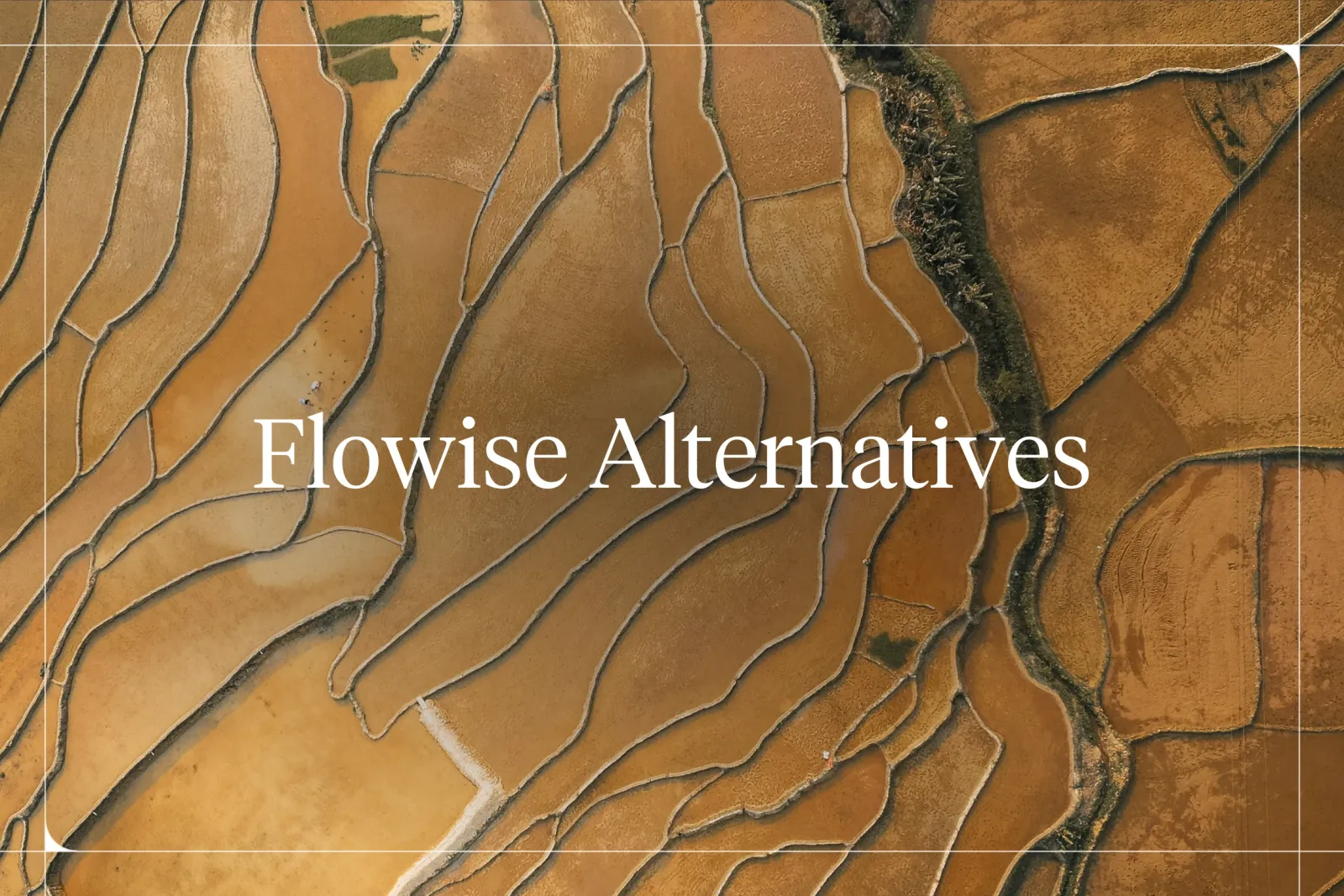 Flowise: What It Is and Best Alternatives [2026 Review]