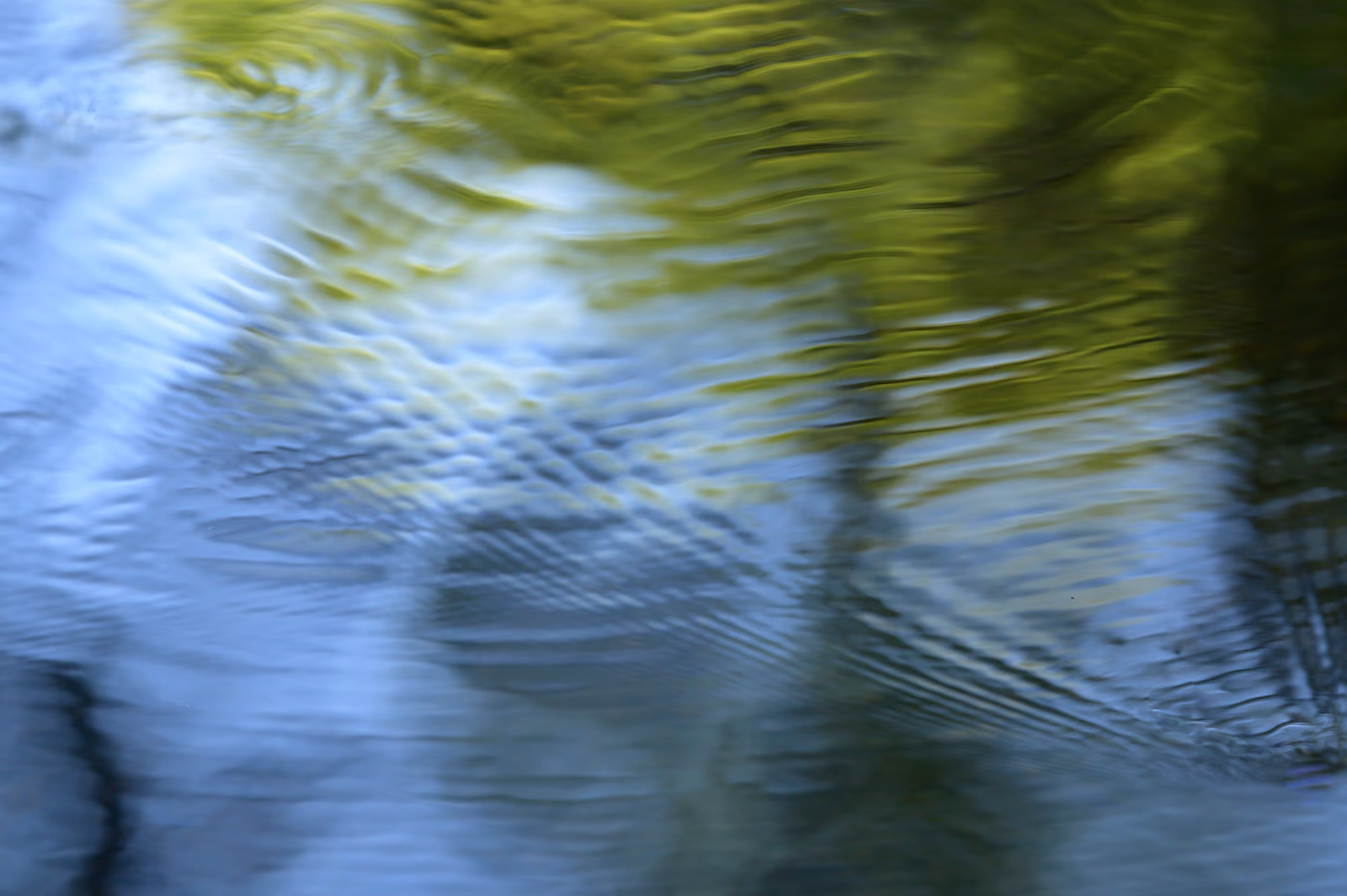 Rippling water surface reflecting green foliage and blue sky.