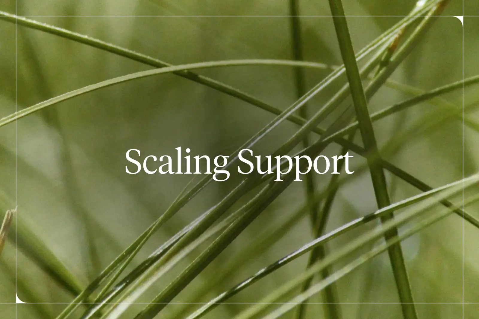 How to Scale Customer Support Without Hiring More Agents