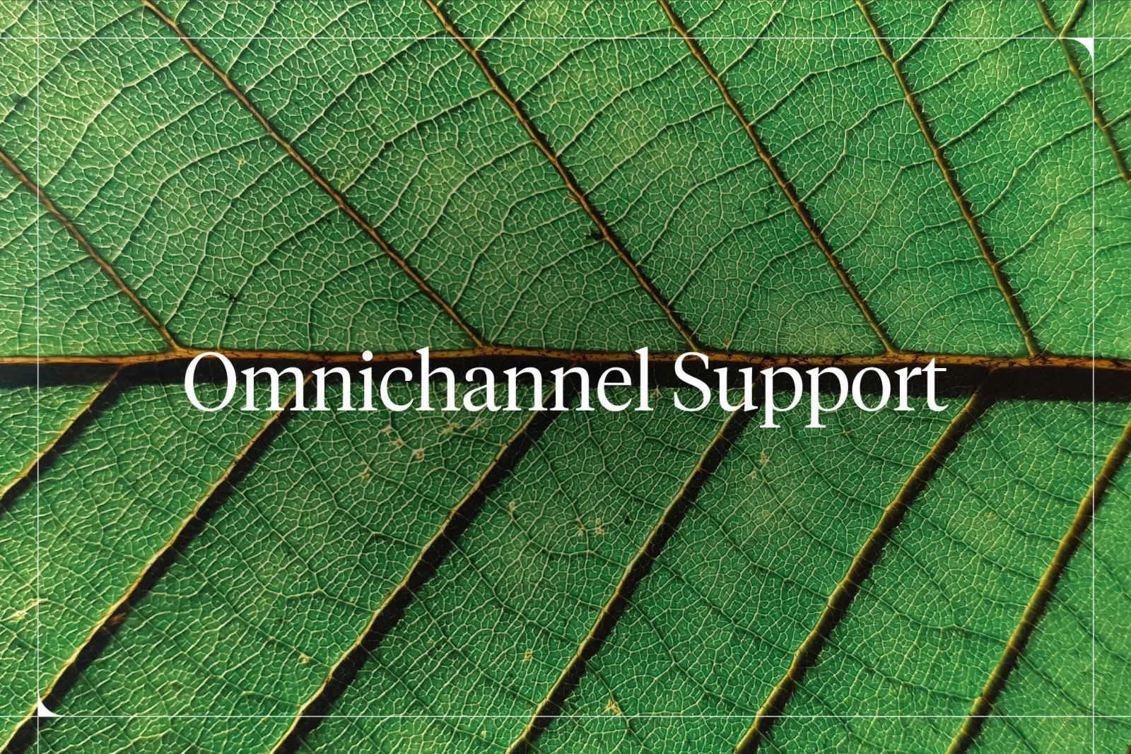 The Best Omnichannel AI Customer Support Platform [2026]