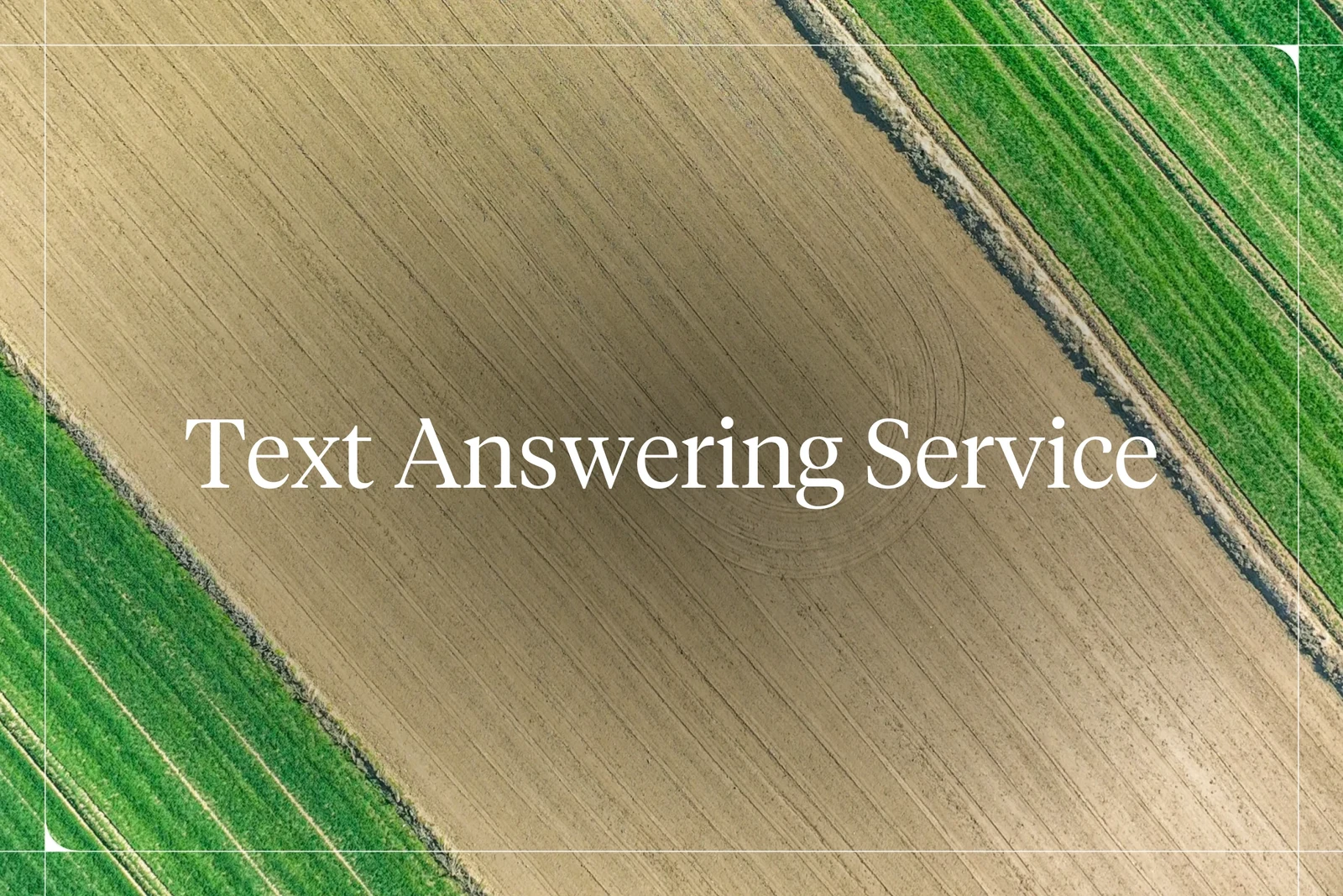 Text Answering Service: What It Costs, and How to Automate It With AI